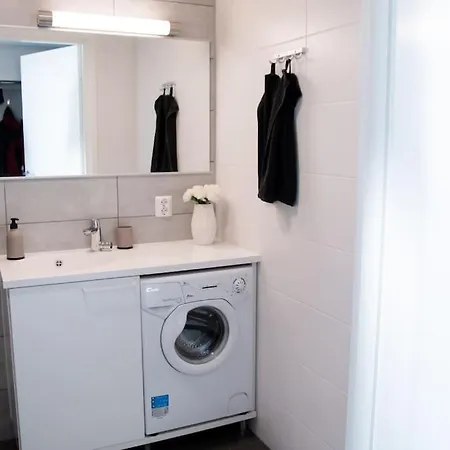 Apartment Elegant Penthouse Loft - Near The Airport *